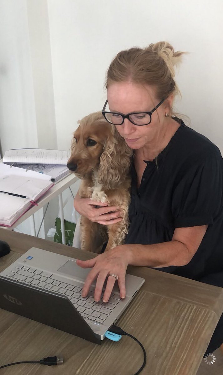 alison_angold's tweet image. Today is Bring Your Dog To Work Day! This little cutie is with me every day, now I work from home. #cockerspaniel #workingfromhome #lockdownroutine