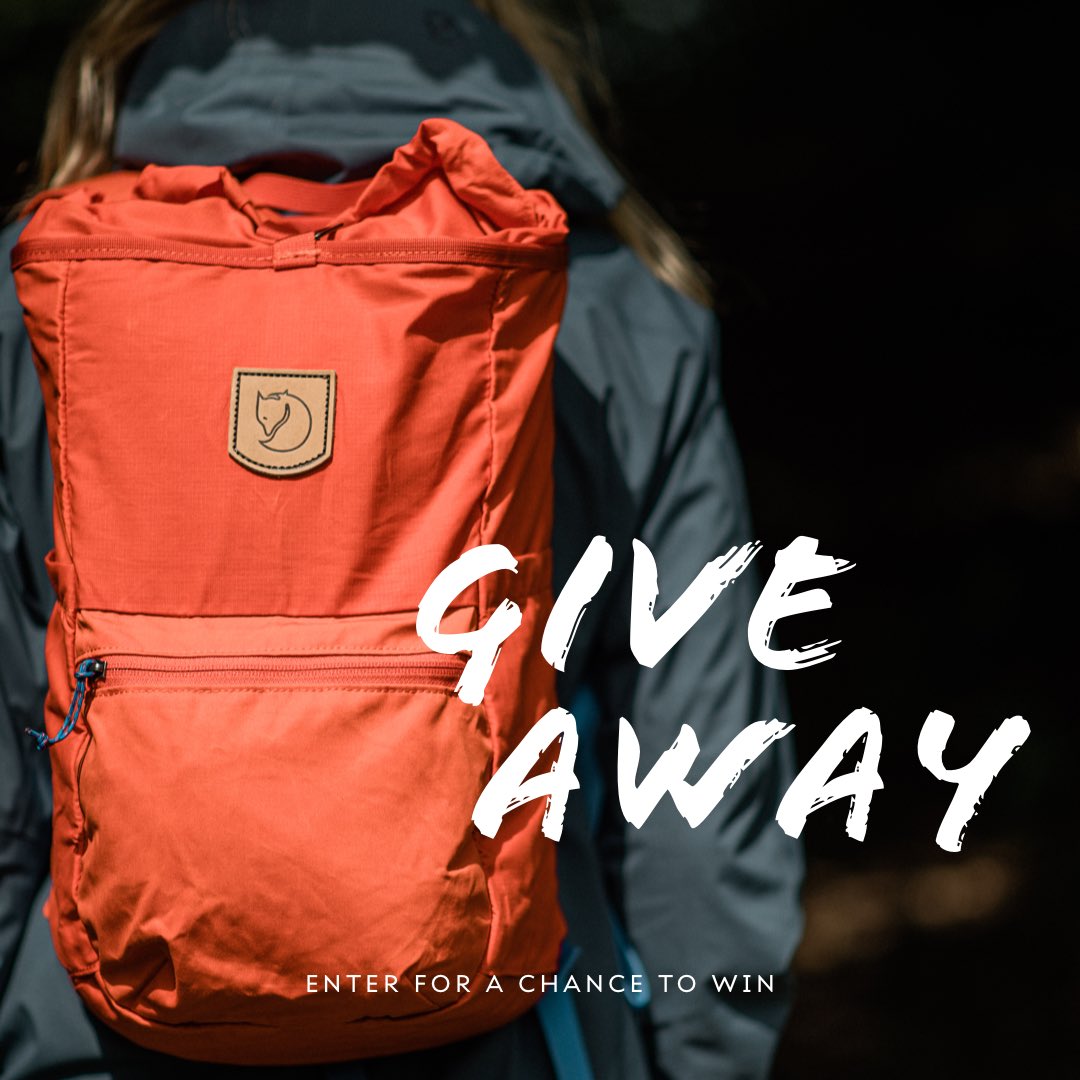 Sophie Nolan tweet media