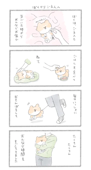 ぼくからご主人へ
#こんにちはいぬ 