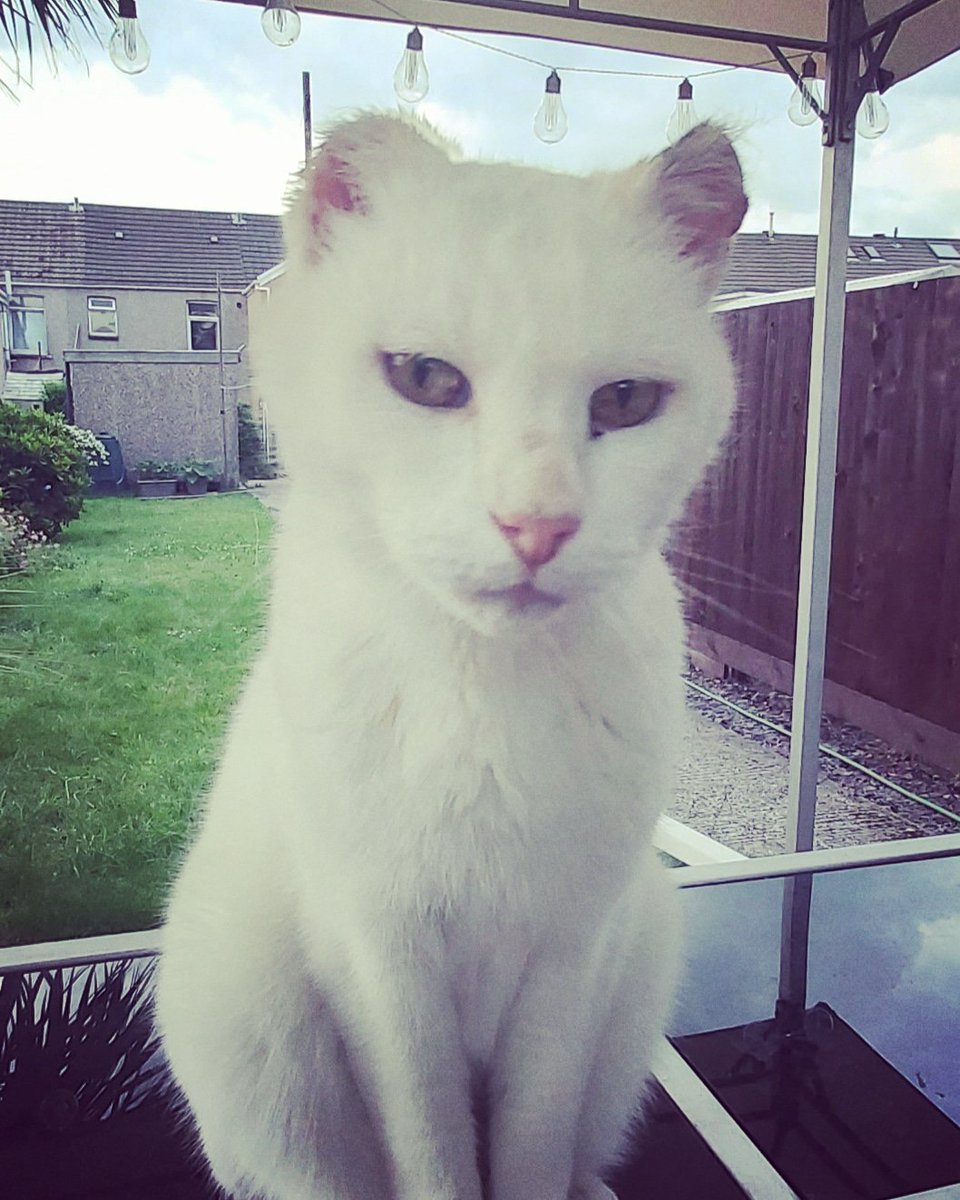 Fugness looking a bit creepy