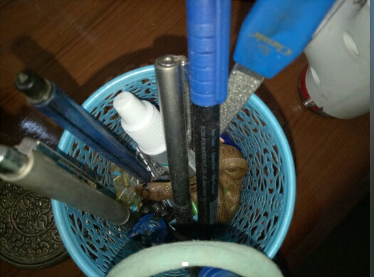 Indiansnakes.org tweet media