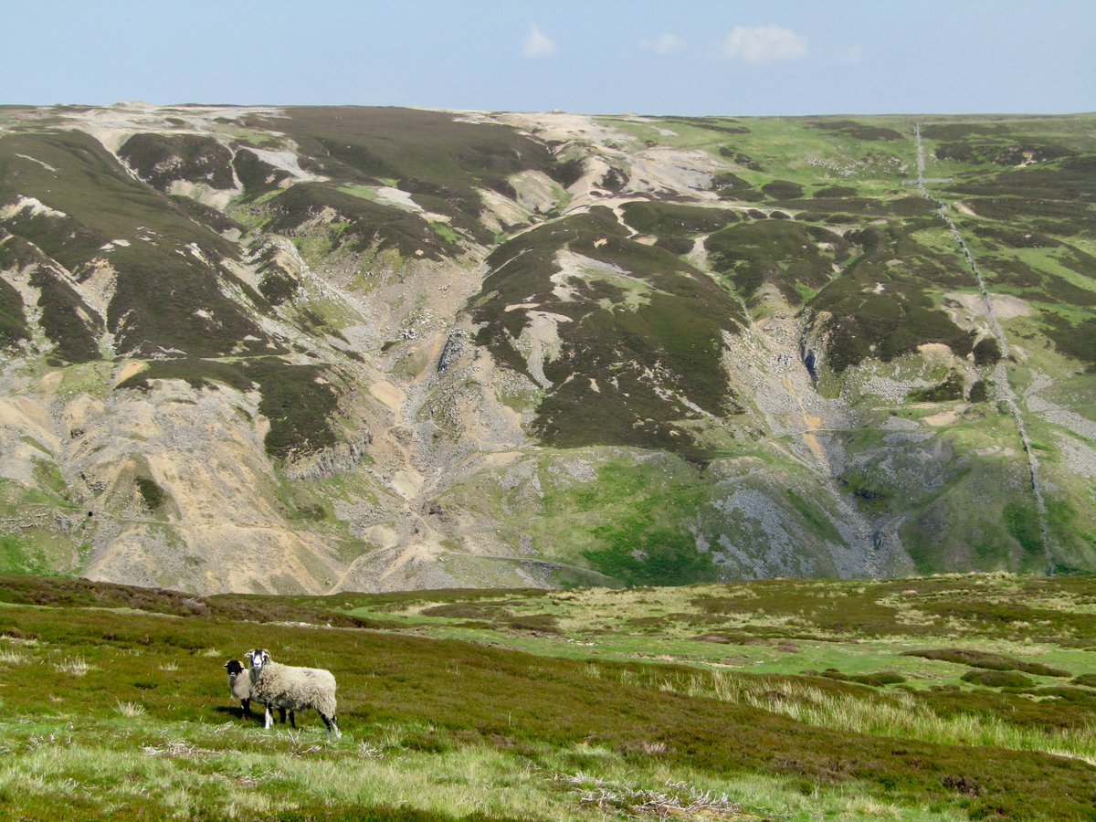AwayMaja's tweet photo. I think #Swaledale might be my new favorite place in #Yorkshire 😍 From #Muker to #Keld, back via #CrackpotHall and #Gunnerside - beautiful day in the sunshine! ☀️💚
#YorkshireDales #WelcomeToYorkshire @thisisswaledale @yorkshire_dales @Welcome2Yorks @VisitEngland @VisitBritain https://t.co/AfX1dz4v68