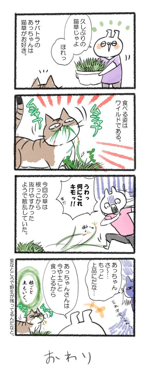 ワイルド猫ちゃん!
#るーさん #るー3 #日常 #日記 #4コマ漫画 https://t.co/BLJ08c5zpq 