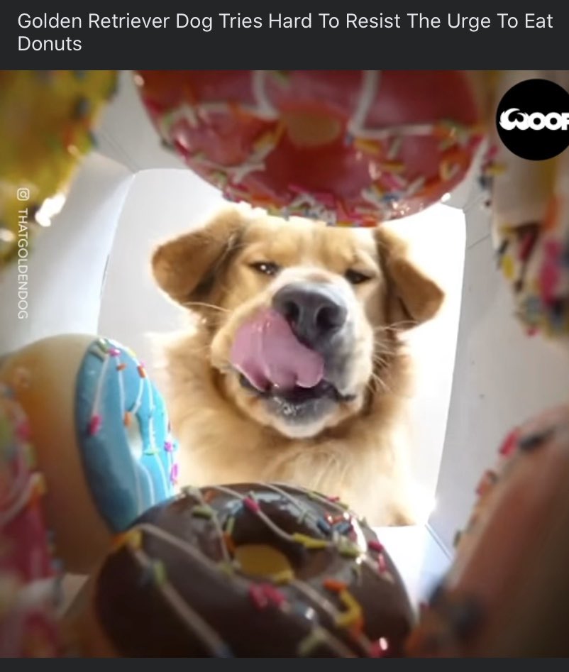 facebook.com/WoofWoofTV/vid…

Anyone else still struggling with the lockdown diet? 😬😐 Just me then!! 🍪🍩🍿🍬🍫🍭🍮🍦🍰🧁