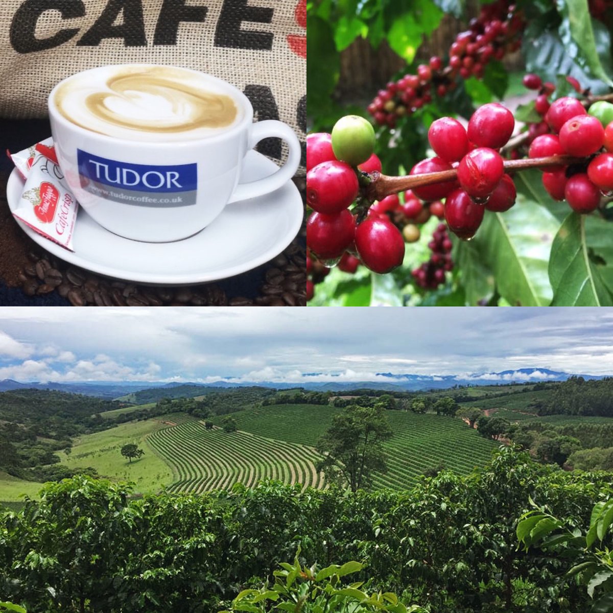 coffeehouse_uk's tweet photo. Is it time for a change to Tudor Tea and Coffee? Take your pick from their range of award-winning teas and espressos >> https://t.co/QDMZHCSt7I #tudor #tea #coffee #coffeehouse #cafe #boughtons #boughtonscoffeehouse #hospitality https://t.co/sfECoZTirg