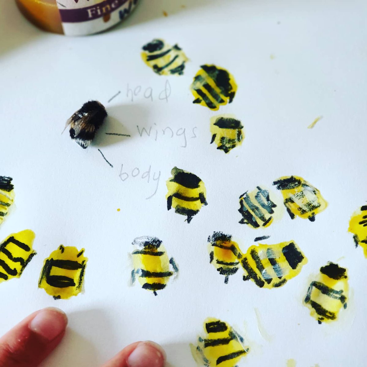 PippaPixley1's tweet photo. Painting bees with natural botanical inks...
#botanicalinks @forestimaginatn @SeymourPip #bees https://t.co/esKoiyflYG