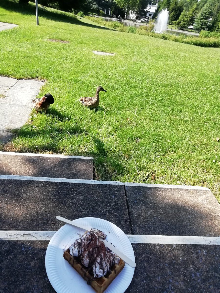 BrigiteSimoes's tweet photo. Happy Friday @UniofBath https://t.co/E8douIlAf2