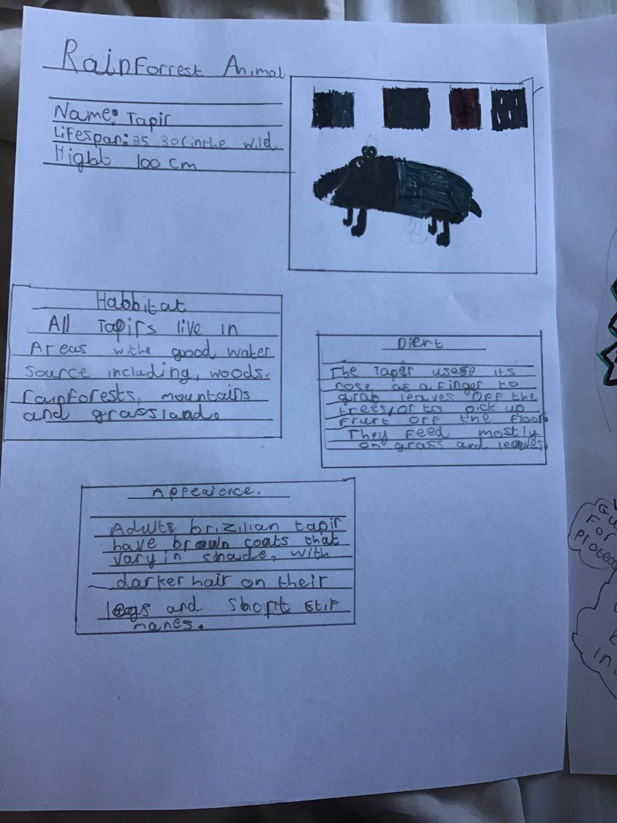 lanejojo19's tweet photo. @CoedEvaYear4 busy this week completing the fact file on a rainforest animal. Think he enjoyed the designing your own rainforest animal the most tho! He really thought about what would be useful for survival in the rainforest. https://t.co/8GswypZQ6p