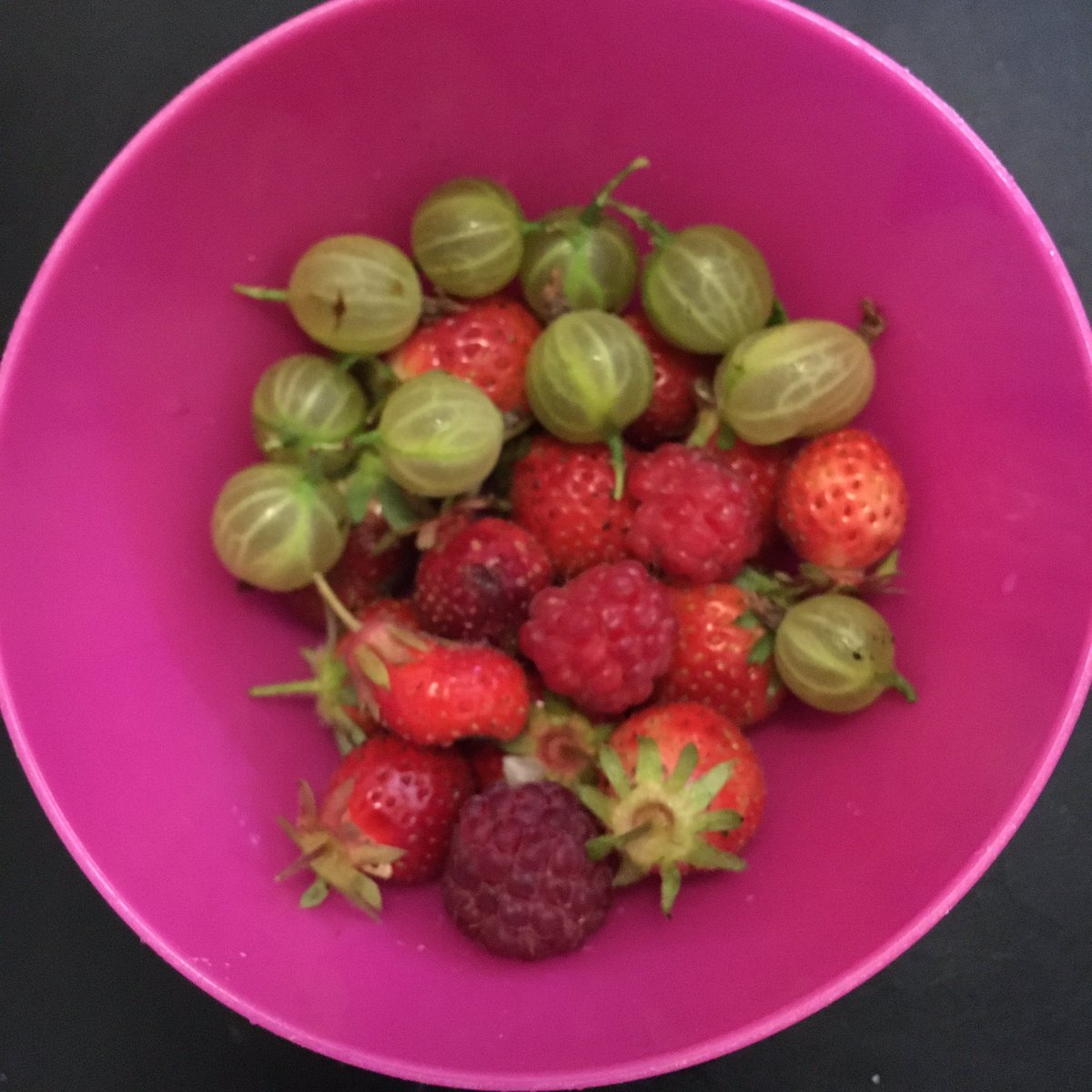 JoFreeRangePlay's tweet photo. This mornings pickings. Had the fruit for breakfast with alpro greek style soya yogurt and the mange tout will be for lunch with hummus and maybe also some for tea #Plant2Plate #permacuture #NoDig https://t.co/JgdcZ4CBcF