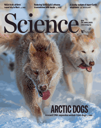 david_machugh's tweet photo. Gratz @MhsSinding, @Greger_Larson, #TomGilbert et al. on exciting new @ScienceMagazine paper detailing the origins of Artic-adapted dogs. 🐺❄️🛷

#Domestication #AnimalGenomics #paleogenomics #ancientDNA #adaptation #GeneFlow

https://t.co/GhERPud3ot https://t.co/FuPjDzUpEi
