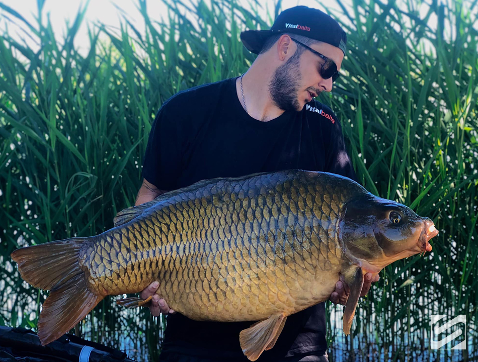 soniksports's tweet photo. This 60.6lb Parco del Brenta beauty had the #GIZMO's screaming but #DOMINATORX soon calmed the situation down. ๐๐ฃ๐ช
๐ธ Edoardo Peruzzi #TeamSonik ๐ฎ๐น https://t.co/XSiiufIfbI
