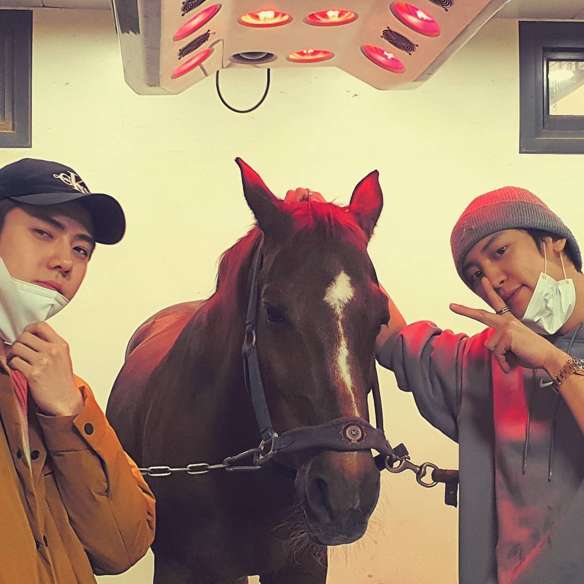 lowqualityloey's tweet photo. they are so cute🥺🥺🥺 https://t.co/ZizcyHIG89