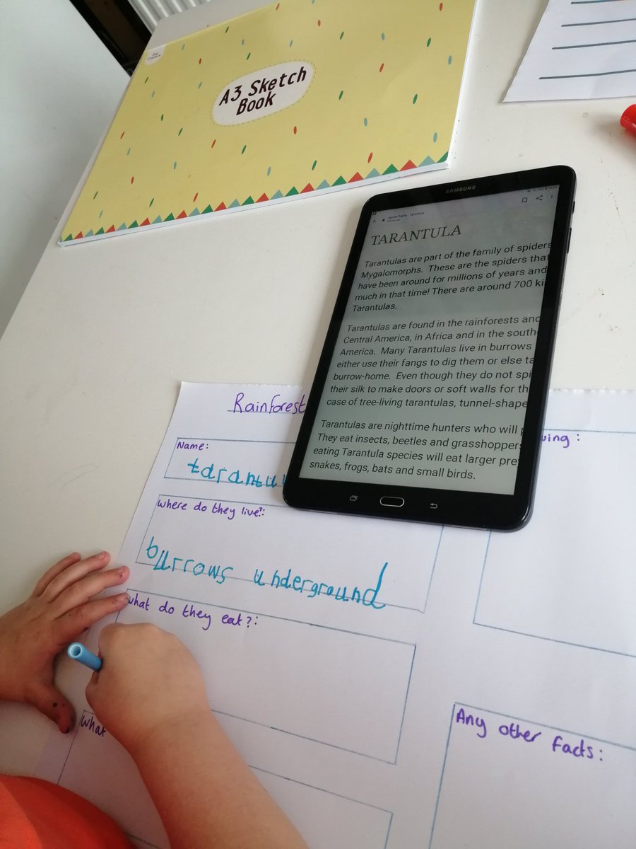 Sheree01334897's tweet photo. @BryncethinPS3 Charlie has loved looking up rainforest animals and chose a tarantula to learn about and wanted to scare his daddy who hates spider 🤣 https://t.co/RJV6Z1cxi6
