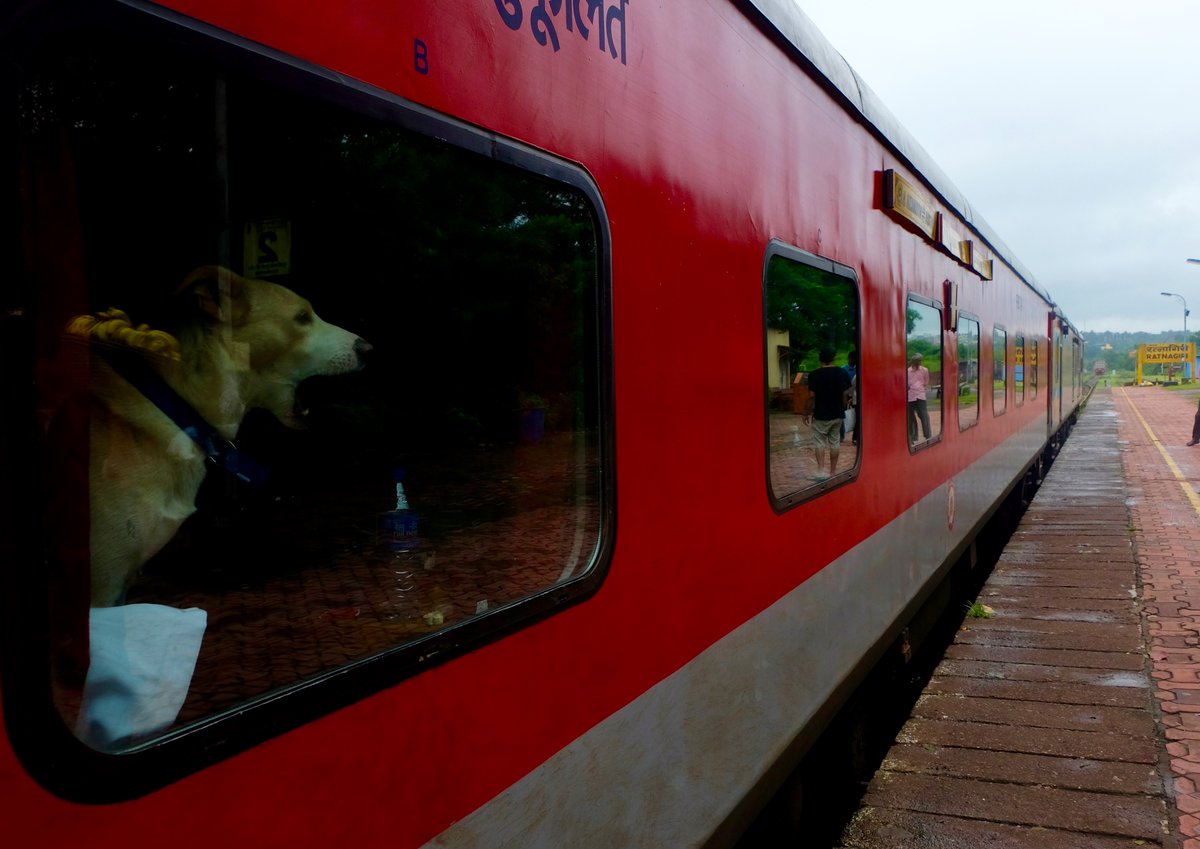 LifestyleWithTH's tweet photo. Travel influencer #DivyaDugar on how her train-hopping family is now looking at self-driven #holidays, charting familiar #routes and remote locations #post-Covid
https://t.co/VsAtKC4Zjh https://t.co/YuFyAAOKCF