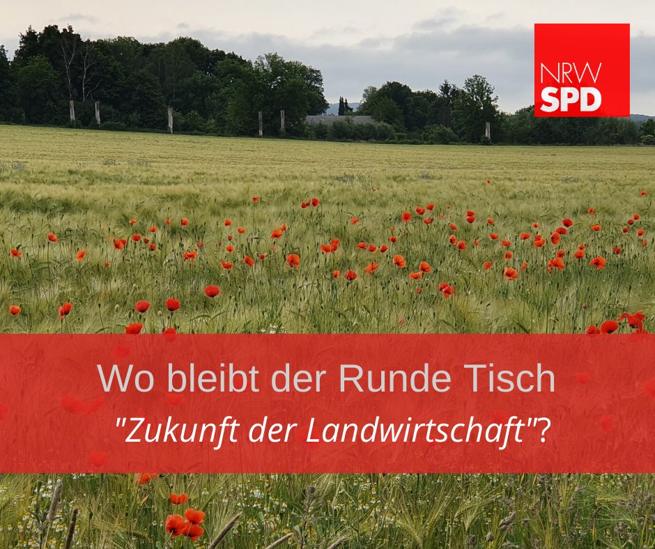 #Landwirtinnen und #Landwirte sind verunsichert: neue Umwelt- und Tierschutzauflagen, schlechte Marktbedingungen und sinkende Einkommen bestimmen den Alltag der Landwirte. Wir fordern deshalb einen #RundenTisch der #Landwirtschaft, an dem alle Beteiligten gehört werden.