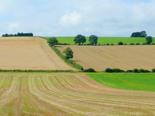 cotswoldplaces's tweet photo. It's been a hot and sunny week ☀️

Have you managed to do any Cotswold Exploring? https://t.co/ccjjSmOkwm