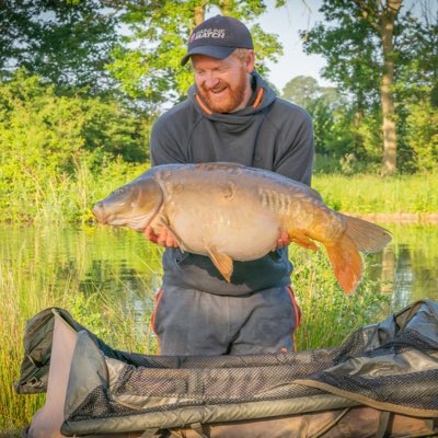 Matt Godfrey tweet media