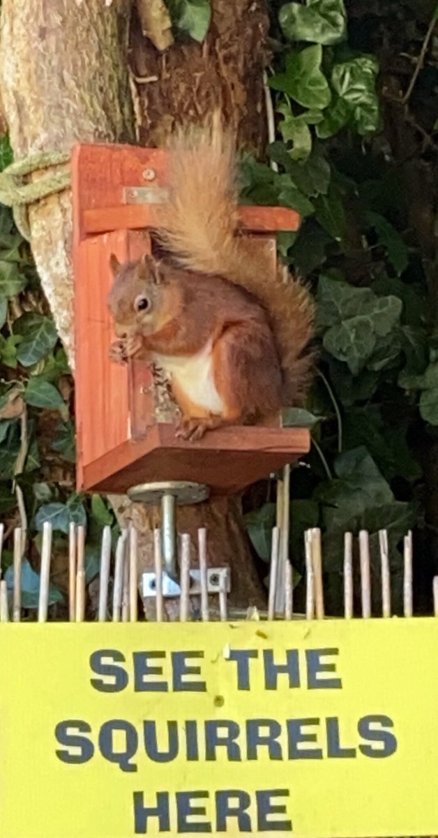 GolfRylstone's tweet photo. FANTASTIC NEWS 
This wonderful hidden gem is opening and ready to welcome you back from Saturday 4th July!  
There are lots of safety measures in place and  we will be starting with a reduced menu and fewer opening days to allow us to find our feet in this ‘new normal’ world. https://t.co/Wf8R9Oy0lr