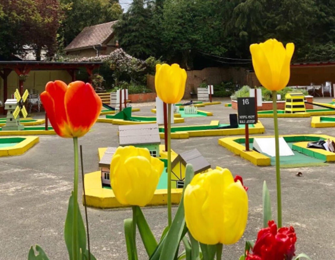 GolfRylstone's tweet photo. FANTASTIC NEWS 
This wonderful hidden gem is opening and ready to welcome you back from Saturday 4th July!  
There are lots of safety measures in place and  we will be starting with a reduced menu and fewer opening days to allow us to find our feet in this ‘new normal’ world. https://t.co/Wf8R9Oy0lr