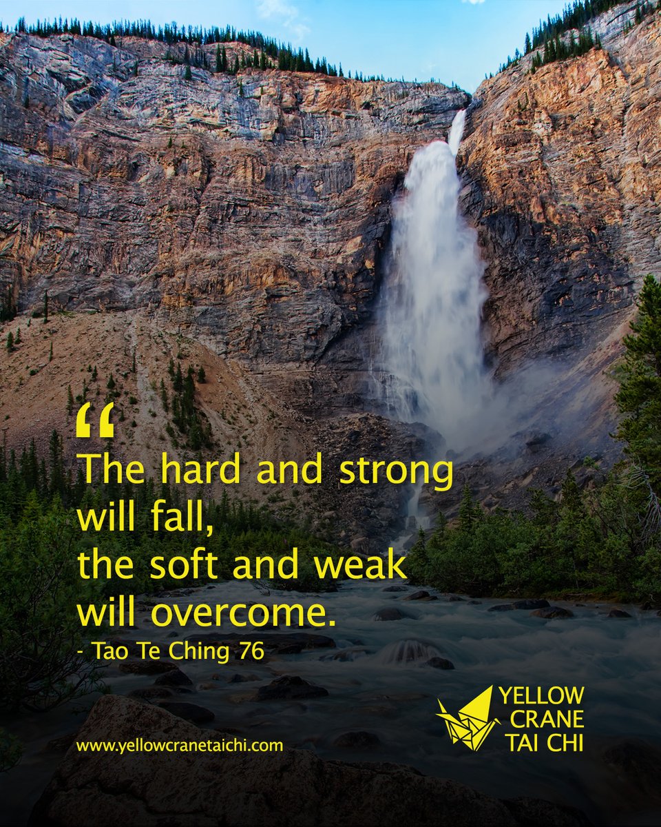 yellowcranetcc's tweet photo. Yield and overcome! https://t.co/ZIvlcNYquu