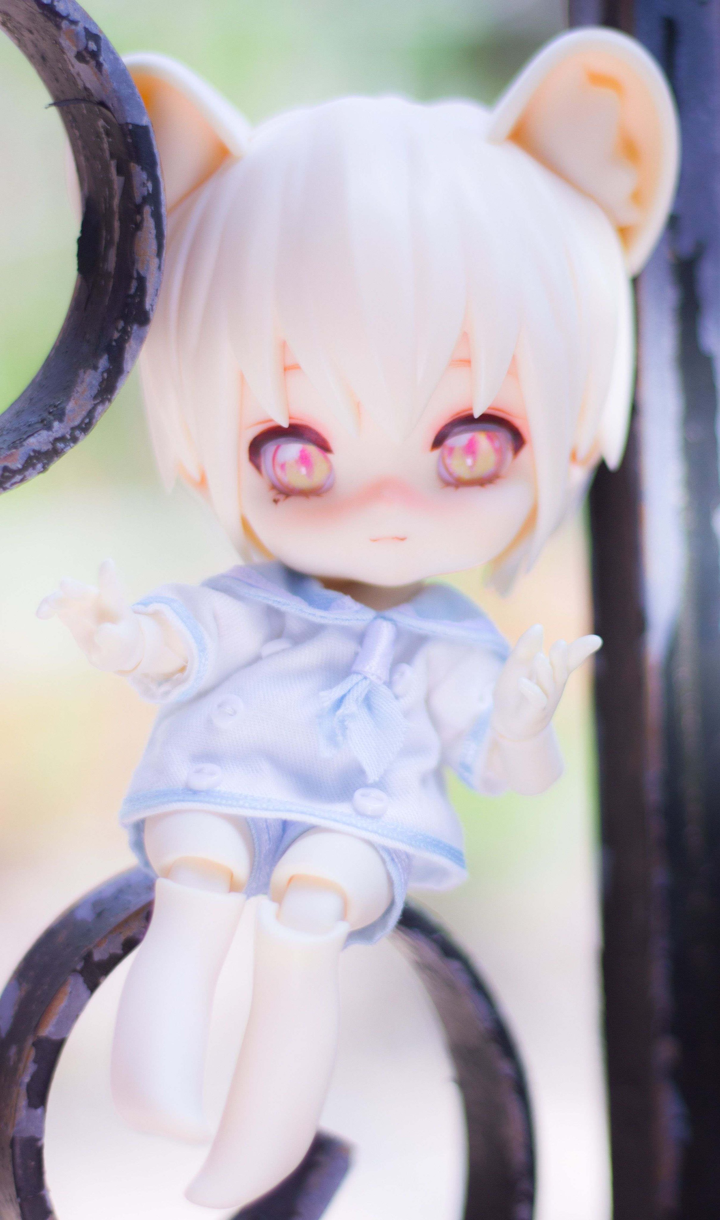 咲く花あきちゃんページ❣️キャバリアオーダー犬羊毛フェルト 💗オリジナル動画公開中💗／ 姉体験女学寮 栫香那子 illustrated