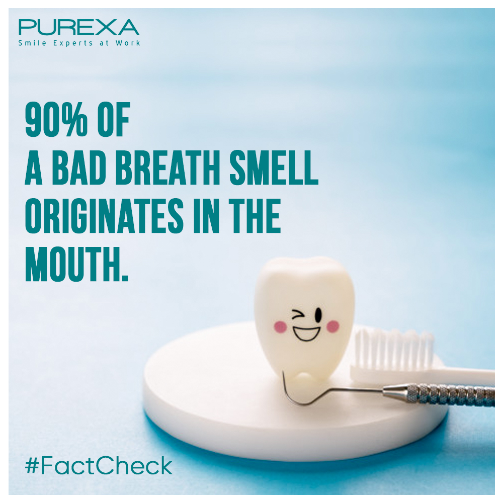 PurexaGlobal's tweet photo. Dental and oral health is an essential part of your overall health and well-being, Know key Facts on Oral Health with Purexa.
#Factcheck #Oralhealthfacts #Oralhygiene #DentalProblems #Oralwellness #Purexa #GetPurexified https://t.co/17bYcnN6eX