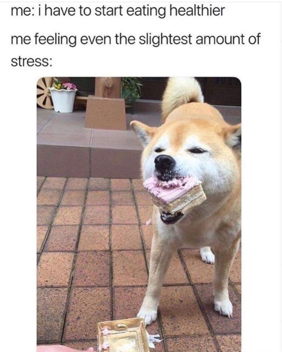 womenshumor's tweet photo. GIMME DA CAKE https://t.co/LyMytPrsOE