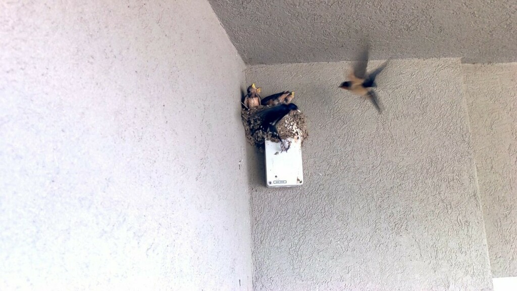 tebInteriors's tweet image. And now for something sweet.......
.
Happy #fuckitfriday #tgifif .
.
#injectsomeedge #homegasm #interiordesign #design #homedecor #customhomedecor #home #colour #homesweethome #homedesign #homedecoration #homestyling #decoration #inspiration #customhome … instagr.am/p/CB5TR7OjjnI/