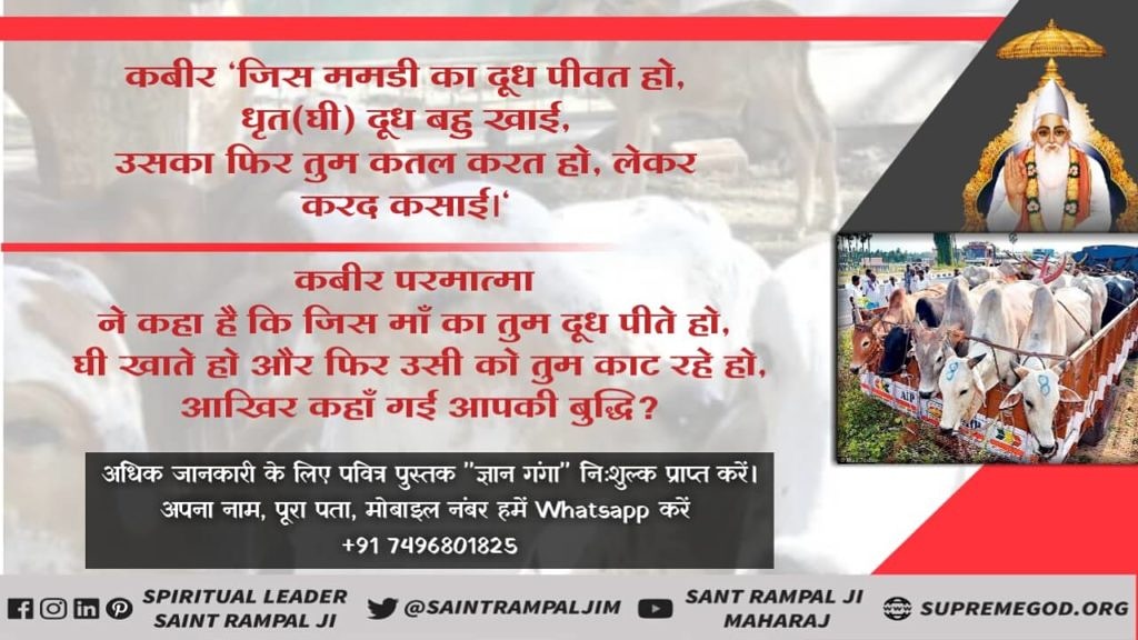padvi_devidas's tweet photo. MeatEaters_Are_Sinners*कबीर, दिनको रोजा रहत हैं, रात हनत हैं गाय।
यह खून वह वंदगी, कहुं क्यों खुशी खुदाय।।
परमात्मा कबीर जी कहते हैं कि मुस्लिम दिन में तो रोजा रखते हैं और रात में गाय का मांस खाते हैं। यह जीव हत्या है, यह अल्लाह की बन्दगी नहीं है। फिर अल्लाह इससे खुश क्यों होगा? https://t.co/QnFQbiXrk0