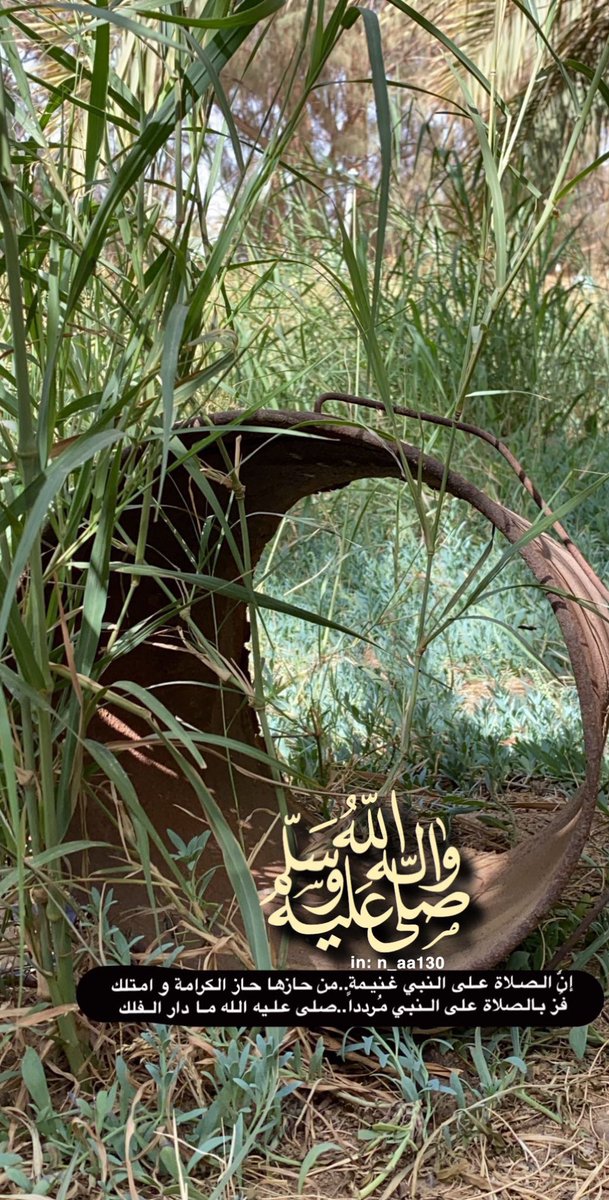 قال النبي ﷺ :
.
"إن من أفضل أيامكم يوم الجمعة ، فأكثروا علي من الصلاة فيه ، فإن صلاتكم معروضة علي"
#اللهم_صل_وسلم_على_نبينا_محمد  ❤
#تصويري #سناباتي #يوم_الجمعة