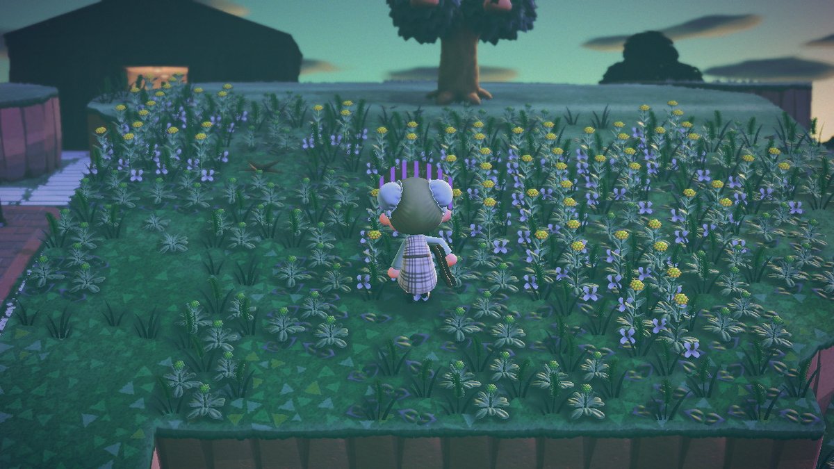 #どうぶつの森 #AnimalCrossing #ACNH #NintendoSwitch

ほおっておいた私が悪かった、、、