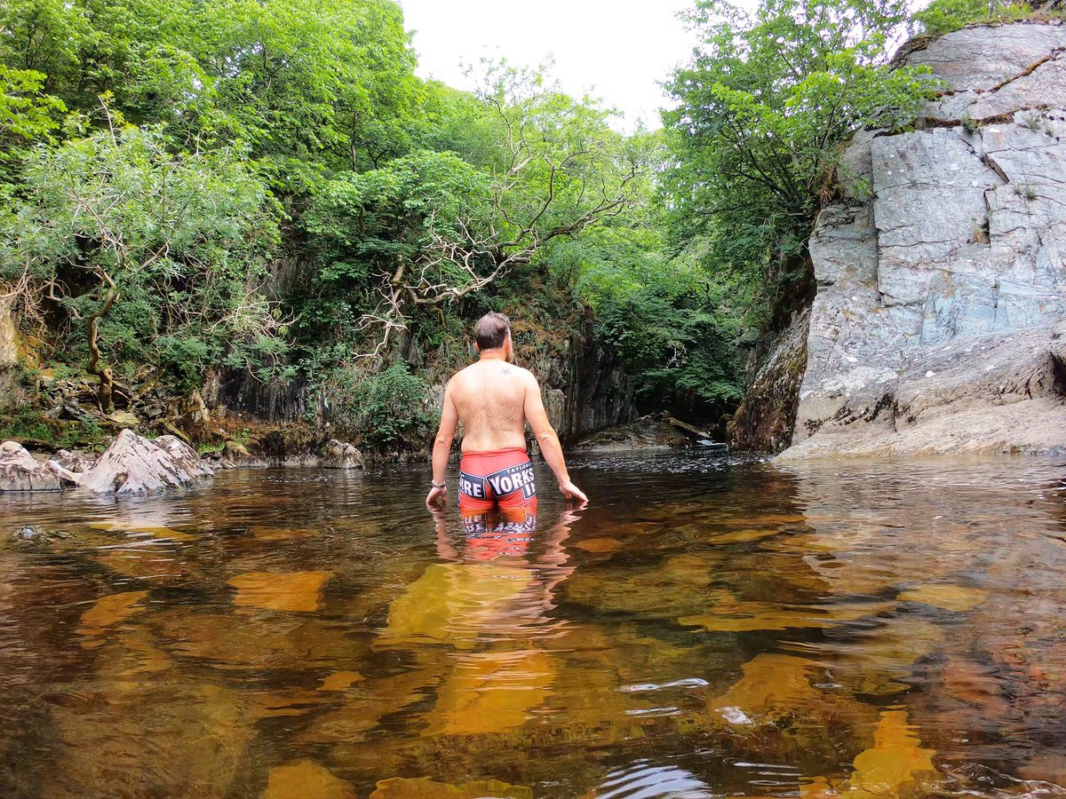 HouseOfHartnell's tweet photo. There’s nothing like washing your lockdown hair in a rich river of Yorkshire Tea. @YorkshireTea https://t.co/pHBaTXP0S7