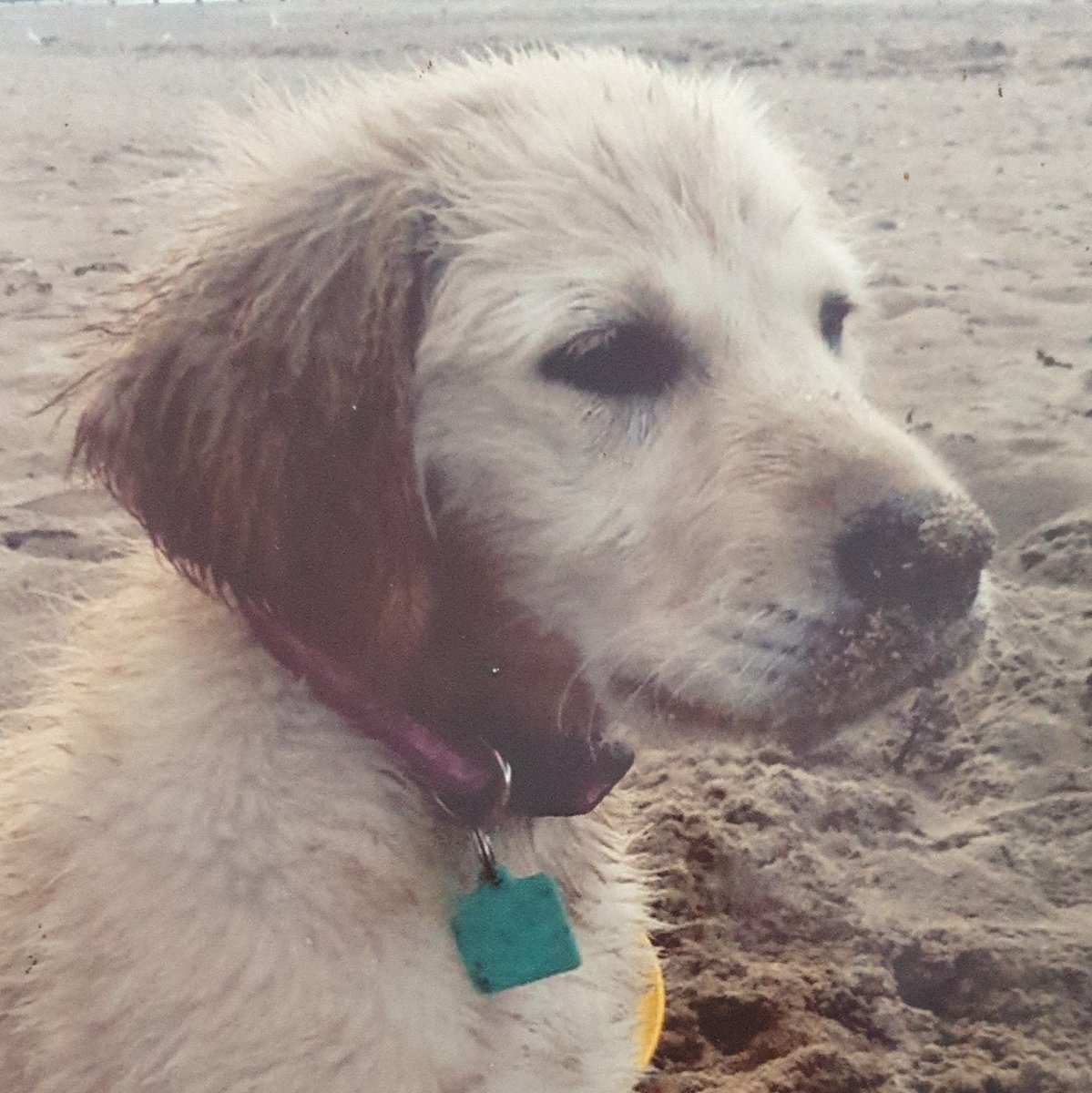 adele_1968's tweet image. #NewProfilePic