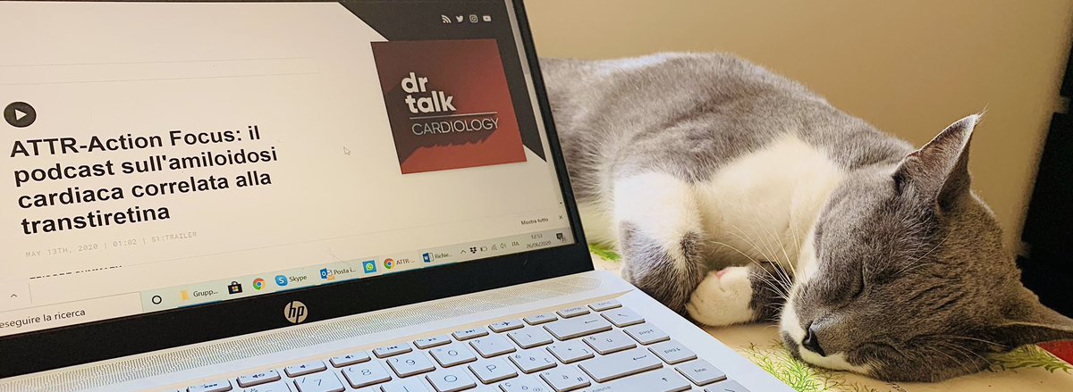 Livia Costa tweet media