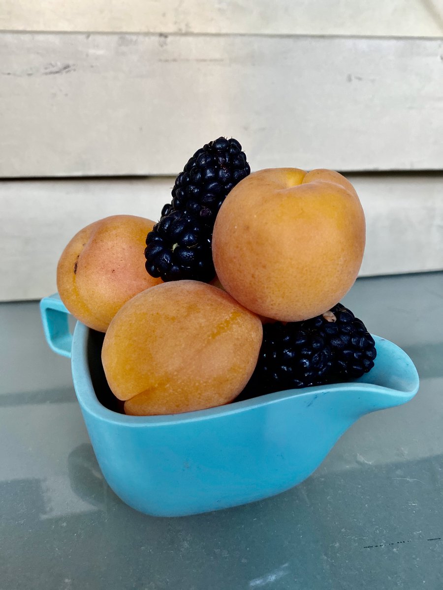 Guess What? We're back!
LIVE today in the Funny People Fallout Shelter, it's SUMMER FRUIT TIME! So let's make a FRUITY CLAFOUTIS! What the hell is a clafoutis? Find  out today, at 3:00 on youtube.com/funnypeoplemak…  And, if you haven't subscribed yet, whatta you waiting for? Summer?