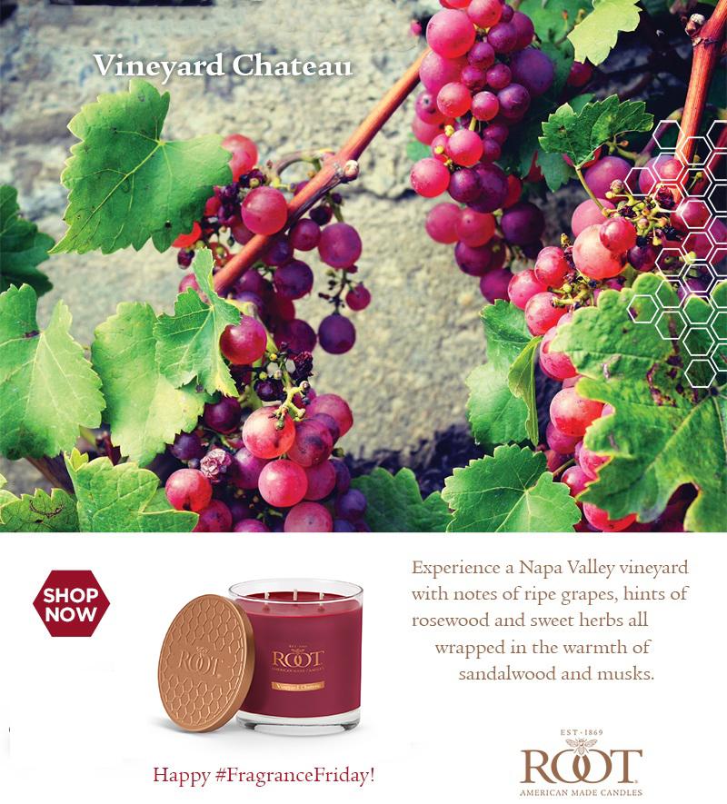 RootCandleBuzz's tweet photo. Happy #FragranceFriday! Meet Vineyard Chateau! Escape to a Napa Valley Vineyard without leaving your home! #RootCandleBuzz https://t.co/5PdjwjDTgc https://t.co/pCx3d8O4xu