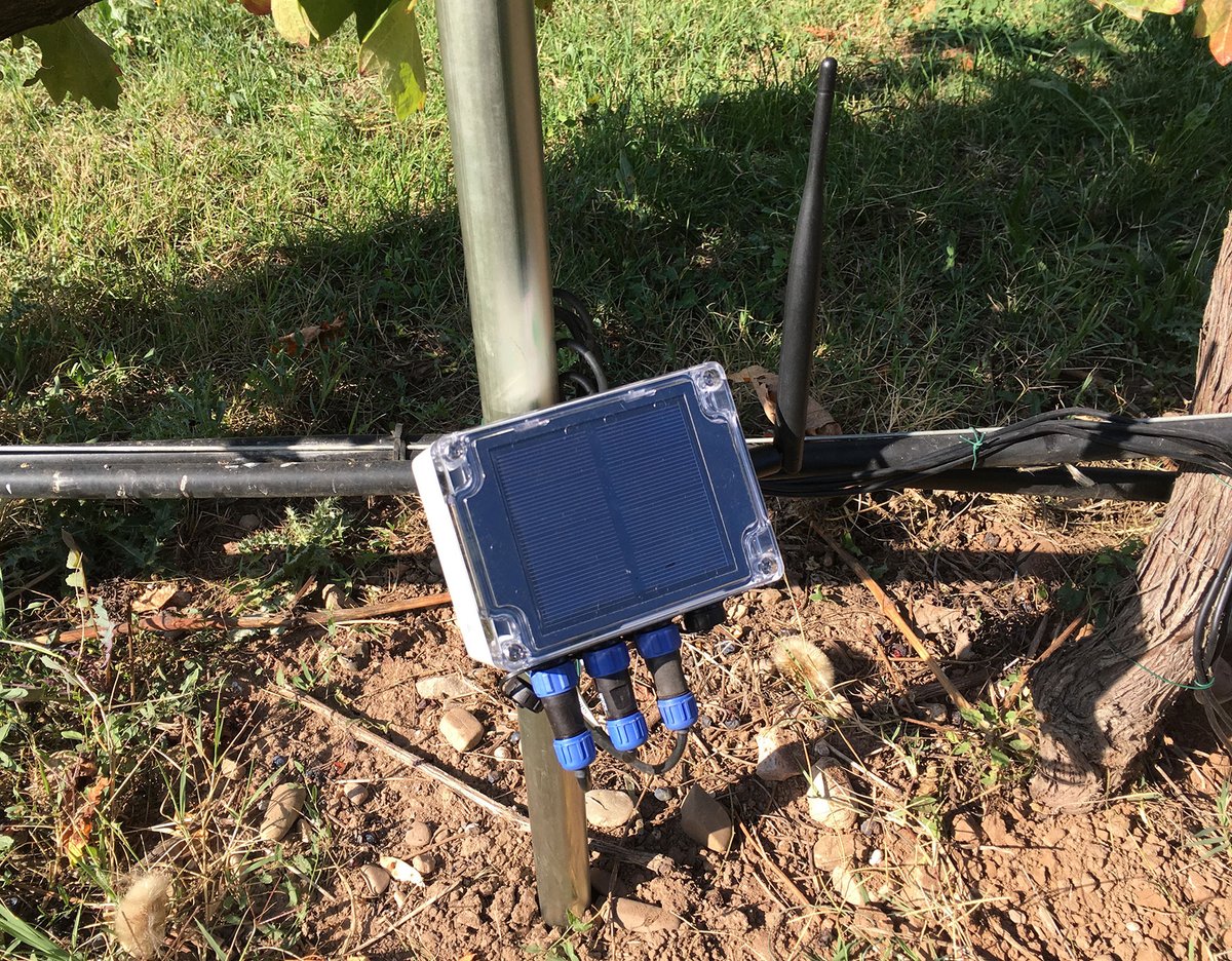 Compartimos un vídeo del proceso de trabajo en el proyecto #vitireg bit.ly/31l6O2y También el enlace a la web del proyecto vitireg.org