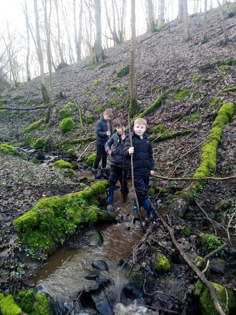 Ross Lyall tweet media