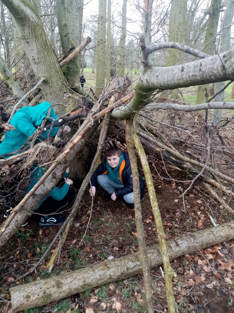 Ross Lyall tweet media