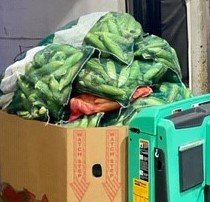 SecondHarvestBB's tweet photo. Thank you @farmcredit for supporting farmers with a $5,000 purchase of fresh Florida produce, including watermelons, corn and lima beans, and donating this bountiful crop to Second Harvest! Your generosity during these trying times means so much!
#inthistogether #floridaproduce https://t.co/eTOOuu3DY2
