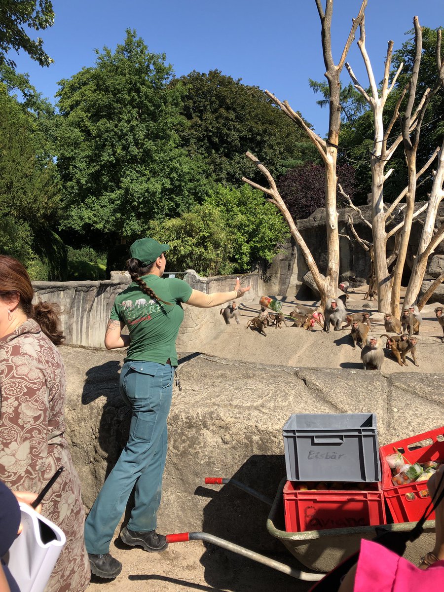nic_ide's tweet photo. Badespaß und Eisbomben bei #Hagenbeck in #Hamburg. Heute gab es für einige Tiere eine kleine Abkühlung. @RTLNord https://t.co/tG73kb0u14