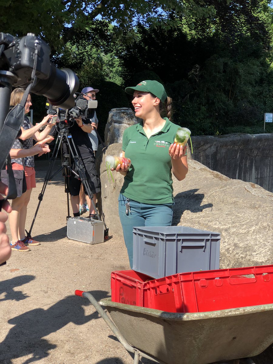 nic_ide's tweet photo. Badespaß und Eisbomben bei #Hagenbeck in #Hamburg. Heute gab es für einige Tiere eine kleine Abkühlung. @RTLNord https://t.co/tG73kb0u14