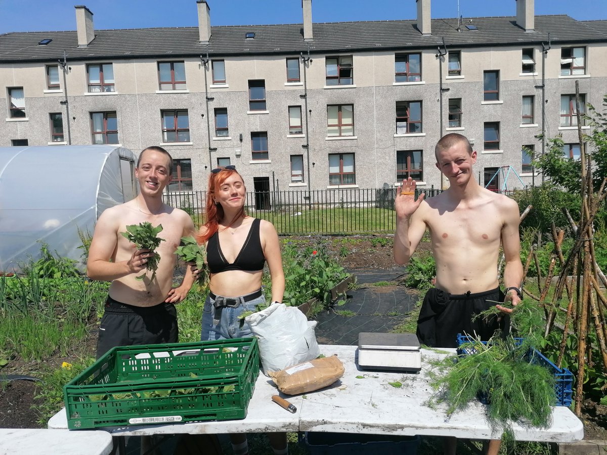 GreenheartG's tweet photo. Say hello to the volunteer crew who make our site a fun place to be every week!

Thank you so much for your continued support for our Project and the work we do for local community here in Glasgow's East End 🙂💚 https://t.co/KzfmAm6g8O