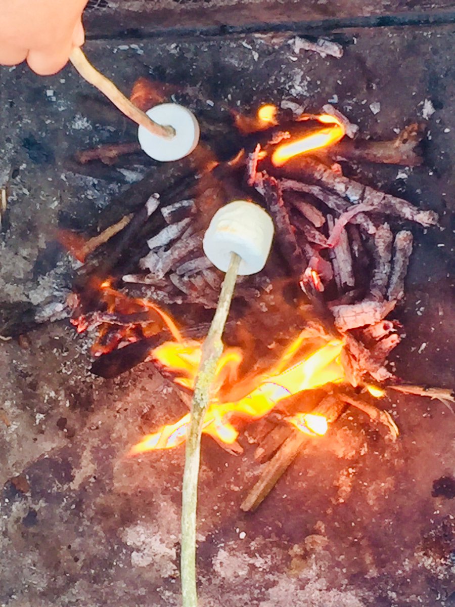 MaindsLindsey's tweet photo. @OrmistonPrimary Some fire raising for #RookieAtHome 🔥🔥🔥 https://t.co/uQDm9gsPu6
