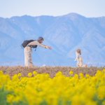 奇跡的な瞬間!息子さんには可哀想だけど、残しておきたい瞬間!