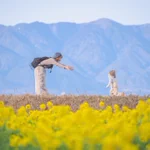 奇跡的な瞬間!息子さんには可哀想だけど、残しておきたい瞬間!