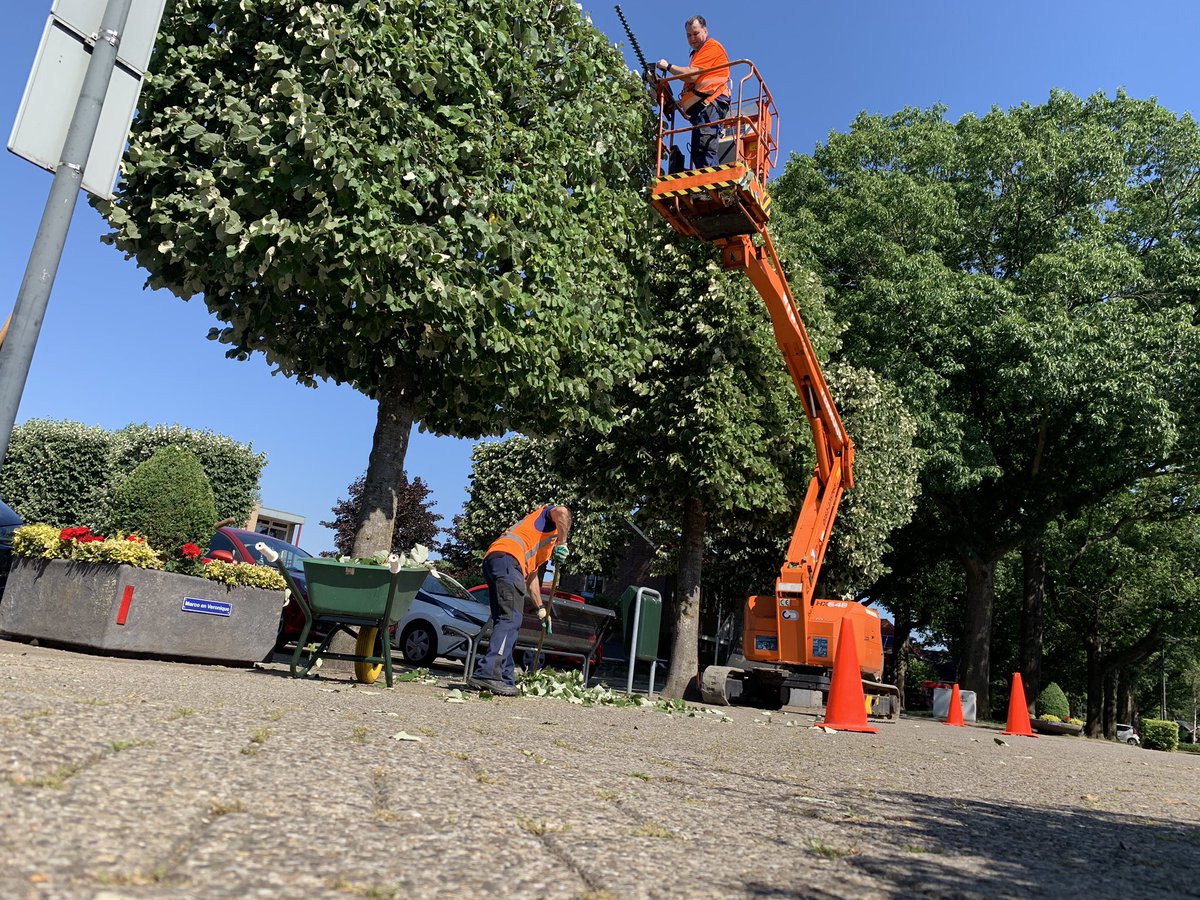 SchillemansMZ's tweet photo. Deze en volgende week zijn we @Gem_Oosterhout bezig met het knippen van de leibomen, zoals hier in het centrum van Dorst.
#Dorst #Oosterhout #MidZuid #vormboom #snoeien https://t.co/MdT6MAQlBp