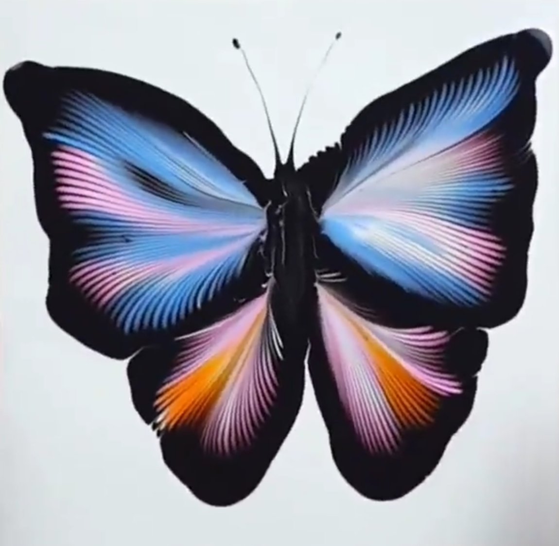 Salma Hisham (@salmahi69619347) on Twitter photo 