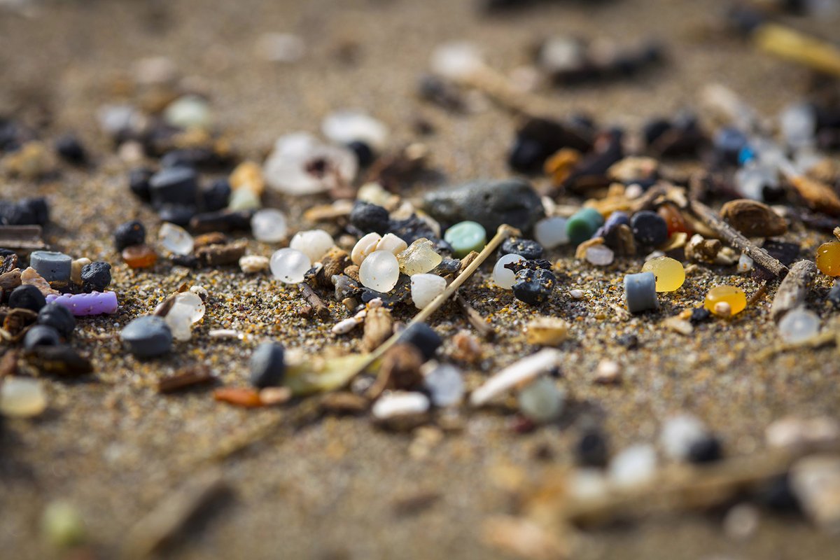 Call for curators: The Arts Institute is seeking a curator to bring together artists who work with litter and/or the concept of litter within their work. Deadline: 10th July 2020 Find out more - ow.ly/tHGd50AiIn1 
<a href="/PlymUni/">University of Plymouth</a> #theaiplym #opportunity #art #microplastics