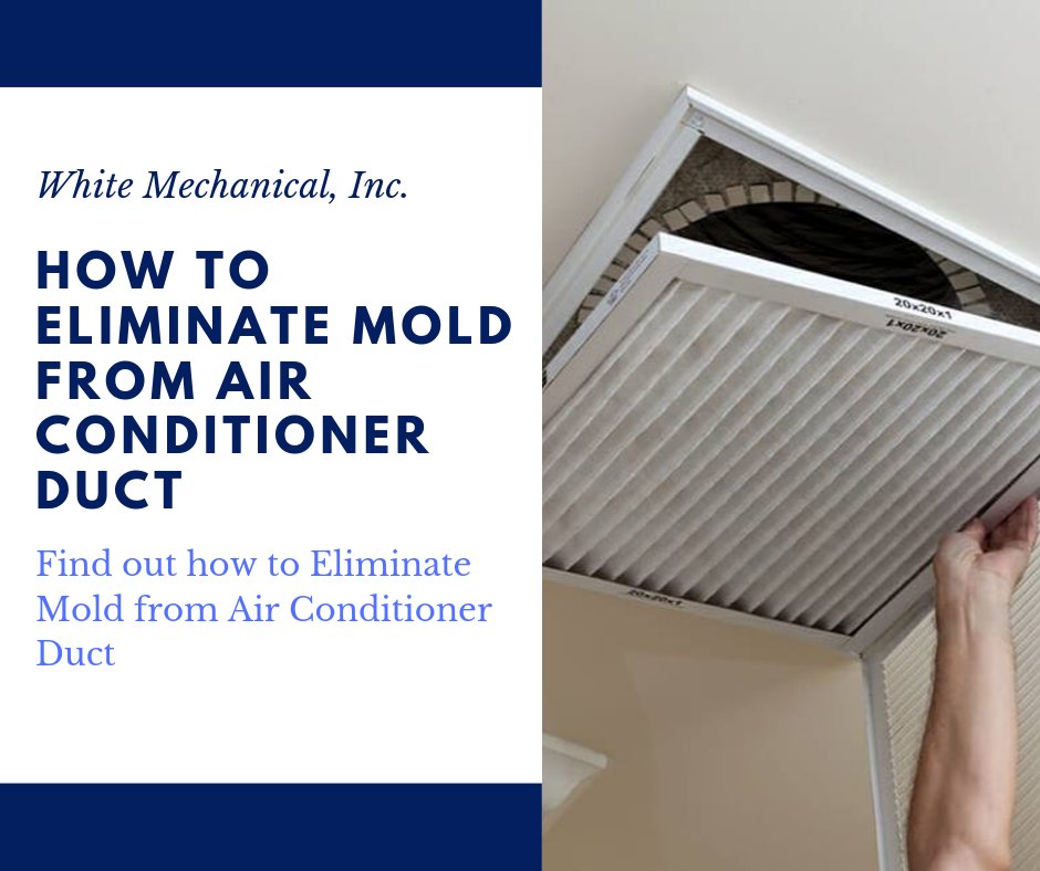 Have you recently noticed black, clustered growths in your air conditioner duct? Read more to learn about how to remove mold from air conditioner ducts:
whitemechanical.com/blog/how-to-re…
 #airconditioning #hvac